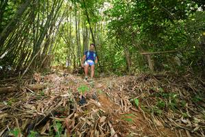 BIB: 
                            <button type="button" onclick="openModal(21789074)" class="btn btn-primary btn-sm float-right btn-popup" data-toggle="modal" data-target=".modal-high-quality">
                        <i class="fas fa-shopping-cart"></i> Add to Cart
                    </button>
                                            <button type="button" onclick="isThisMe(21789074, true)" class="btn btn-success btn-sm float-right btn-popup btn-isme hidden" data-toggle="tooltip" data-placement="bottom" title="นี่คือรูปของคุณใช่ไหม คลิกที่นี่เพื่อเอาเข้าอัลบั้ม">
                        <i class="fas fa-plus"></i> Add to album
                    </button>
                    <button type="button" onclick="isThisMe(21789074, false)" class="btn btn-warning btn-sm float-right btn-popup btn-isnotme hidden">
                        <i class="fas fa-ban"></i> Remove from album
                    </button>