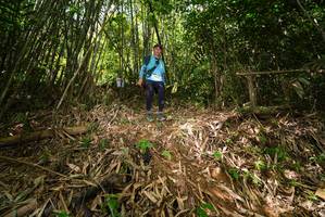 BIB: 
                            <button type="button" onclick="openModal(21749422)" class="btn btn-primary btn-sm float-right btn-popup" data-toggle="modal" data-target=".modal-high-quality">
                        <i class="fas fa-shopping-cart"></i> Add to Cart
                    </button>
                                            <button type="button" onclick="isThisMe(21749422, true)" class="btn btn-success btn-sm float-right btn-popup btn-isme hidden" data-toggle="tooltip" data-placement="bottom" title="นี่คือรูปของคุณใช่ไหม คลิกที่นี่เพื่อเอาเข้าอัลบั้ม">
                        <i class="fas fa-plus"></i> Add to album
                    </button>
                    <button type="button" onclick="isThisMe(21749422, false)" class="btn btn-warning btn-sm float-right btn-popup btn-isnotme hidden">
                        <i class="fas fa-ban"></i> Remove from album
                    </button>