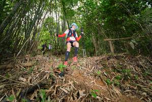 BIB: 
                            <button type="button" onclick="openModal(21753913)" class="btn btn-primary btn-sm float-right btn-popup" data-toggle="modal" data-target=".modal-high-quality">
                        <i class="fas fa-shopping-cart"></i> Add to Cart
                    </button>
                                            <button type="button" onclick="isThisMe(21753913, true)" class="btn btn-success btn-sm float-right btn-popup btn-isme hidden" data-toggle="tooltip" data-placement="bottom" title="นี่คือรูปของคุณใช่ไหม คลิกที่นี่เพื่อเอาเข้าอัลบั้ม">
                        <i class="fas fa-plus"></i> Add to album
                    </button>
                    <button type="button" onclick="isThisMe(21753913, false)" class="btn btn-warning btn-sm float-right btn-popup btn-isnotme hidden">
                        <i class="fas fa-ban"></i> Remove from album
                    </button>