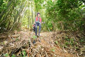 BIB: 
                            <button type="button" onclick="openModal(21788636)" class="btn btn-primary btn-sm float-right btn-popup" data-toggle="modal" data-target=".modal-high-quality">
                        <i class="fas fa-shopping-cart"></i> Add to Cart
                    </button>
                                            <button type="button" onclick="isThisMe(21788636, true)" class="btn btn-success btn-sm float-right btn-popup btn-isme hidden" data-toggle="tooltip" data-placement="bottom" title="นี่คือรูปของคุณใช่ไหม คลิกที่นี่เพื่อเอาเข้าอัลบั้ม">
                        <i class="fas fa-plus"></i> Add to album
                    </button>
                    <button type="button" onclick="isThisMe(21788636, false)" class="btn btn-warning btn-sm float-right btn-popup btn-isnotme hidden">
                        <i class="fas fa-ban"></i> Remove from album
                    </button>