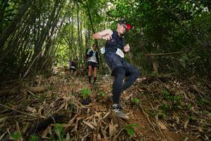 BIB: 525
                            <button type="button" onclick="openModal(21776817)" class="btn btn-primary btn-sm float-right btn-popup" data-toggle="modal" data-target=".modal-high-quality">
                        <i class="fas fa-shopping-cart"></i> Add to Cart
                    </button>
                                            <button type="button" onclick="isThisMe(21776817, true)" class="btn btn-success btn-sm float-right btn-popup btn-isme hidden" data-toggle="tooltip" data-placement="bottom" title="นี่คือรูปของคุณใช่ไหม คลิกที่นี่เพื่อเอาเข้าอัลบั้ม">
                        <i class="fas fa-plus"></i> Add to album
                    </button>
                    <button type="button" onclick="isThisMe(21776817, false)" class="btn btn-warning btn-sm float-right btn-popup btn-isnotme hidden">
                        <i class="fas fa-ban"></i> Remove from album
                    </button>