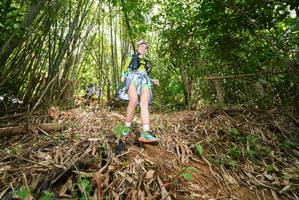 BIB: 
                            <button type="button" onclick="openModal(21788888)" class="btn btn-primary btn-sm float-right btn-popup" data-toggle="modal" data-target=".modal-high-quality">
                        <i class="fas fa-shopping-cart"></i> Add to Cart
                    </button>
                                            <button type="button" onclick="isThisMe(21788888, true)" class="btn btn-success btn-sm float-right btn-popup btn-isme hidden" data-toggle="tooltip" data-placement="bottom" title="นี่คือรูปของคุณใช่ไหม คลิกที่นี่เพื่อเอาเข้าอัลบั้ม">
                        <i class="fas fa-plus"></i> Add to album
                    </button>
                    <button type="button" onclick="isThisMe(21788888, false)" class="btn btn-warning btn-sm float-right btn-popup btn-isnotme hidden">
                        <i class="fas fa-ban"></i> Remove from album
                    </button>