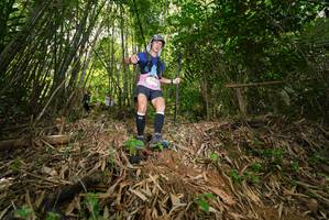 BIB: 
                            <button type="button" onclick="openModal(21755288)" class="btn btn-primary btn-sm float-right btn-popup" data-toggle="modal" data-target=".modal-high-quality">
                        <i class="fas fa-shopping-cart"></i> Add to Cart
                    </button>
                                            <button type="button" onclick="isThisMe(21755288, true)" class="btn btn-success btn-sm float-right btn-popup btn-isme hidden" data-toggle="tooltip" data-placement="bottom" title="นี่คือรูปของคุณใช่ไหม คลิกที่นี่เพื่อเอาเข้าอัลบั้ม">
                        <i class="fas fa-plus"></i> Add to album
                    </button>
                    <button type="button" onclick="isThisMe(21755288, false)" class="btn btn-warning btn-sm float-right btn-popup btn-isnotme hidden">
                        <i class="fas fa-ban"></i> Remove from album
                    </button>