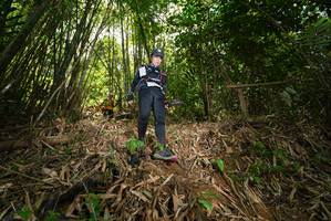 BIB: 
                            <button type="button" onclick="openModal(21785513)" class="btn btn-primary btn-sm float-right btn-popup" data-toggle="modal" data-target=".modal-high-quality">
                        <i class="fas fa-shopping-cart"></i> Add to Cart
                    </button>
                                            <button type="button" onclick="isThisMe(21785513, true)" class="btn btn-success btn-sm float-right btn-popup btn-isme hidden" data-toggle="tooltip" data-placement="bottom" title="นี่คือรูปของคุณใช่ไหม คลิกที่นี่เพื่อเอาเข้าอัลบั้ม">
                        <i class="fas fa-plus"></i> Add to album
                    </button>
                    <button type="button" onclick="isThisMe(21785513, false)" class="btn btn-warning btn-sm float-right btn-popup btn-isnotme hidden">
                        <i class="fas fa-ban"></i> Remove from album
                    </button>