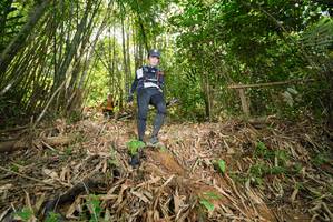 BIB: 
                            <button type="button" onclick="openModal(21785509)" class="btn btn-primary btn-sm float-right btn-popup" data-toggle="modal" data-target=".modal-high-quality">
                        <i class="fas fa-shopping-cart"></i> Add to Cart
                    </button>
                                            <button type="button" onclick="isThisMe(21785509, true)" class="btn btn-success btn-sm float-right btn-popup btn-isme hidden" data-toggle="tooltip" data-placement="bottom" title="นี่คือรูปของคุณใช่ไหม คลิกที่นี่เพื่อเอาเข้าอัลบั้ม">
                        <i class="fas fa-plus"></i> Add to album
                    </button>
                    <button type="button" onclick="isThisMe(21785509, false)" class="btn btn-warning btn-sm float-right btn-popup btn-isnotme hidden">
                        <i class="fas fa-ban"></i> Remove from album
                    </button>