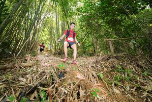 BIB: 
                            <button type="button" onclick="openModal(21786241)" class="btn btn-primary btn-sm float-right btn-popup" data-toggle="modal" data-target=".modal-high-quality">
                        <i class="fas fa-shopping-cart"></i> Add to Cart
                    </button>
                                            <button type="button" onclick="isThisMe(21786241, true)" class="btn btn-success btn-sm float-right btn-popup btn-isme hidden" data-toggle="tooltip" data-placement="bottom" title="นี่คือรูปของคุณใช่ไหม คลิกที่นี่เพื่อเอาเข้าอัลบั้ม">
                        <i class="fas fa-plus"></i> Add to album
                    </button>
                    <button type="button" onclick="isThisMe(21786241, false)" class="btn btn-warning btn-sm float-right btn-popup btn-isnotme hidden">
                        <i class="fas fa-ban"></i> Remove from album
                    </button>