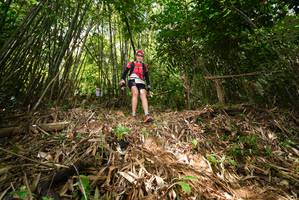 BIB: 
                            <button type="button" onclick="openModal(21750246)" class="btn btn-primary btn-sm float-right btn-popup" data-toggle="modal" data-target=".modal-high-quality">
                        <i class="fas fa-shopping-cart"></i> Add to Cart
                    </button>
                                            <button type="button" onclick="isThisMe(21750246, true)" class="btn btn-success btn-sm float-right btn-popup btn-isme hidden" data-toggle="tooltip" data-placement="bottom" title="นี่คือรูปของคุณใช่ไหม คลิกที่นี่เพื่อเอาเข้าอัลบั้ม">
                        <i class="fas fa-plus"></i> Add to album
                    </button>
                    <button type="button" onclick="isThisMe(21750246, false)" class="btn btn-warning btn-sm float-right btn-popup btn-isnotme hidden">
                        <i class="fas fa-ban"></i> Remove from album
                    </button>