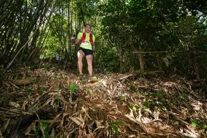 BIB: 
                            <button type="button" onclick="openModal(21749892)" class="btn btn-primary btn-sm float-right btn-popup" data-toggle="modal" data-target=".modal-high-quality">
                        <i class="fas fa-shopping-cart"></i> Add to Cart
                    </button>
                                            <button type="button" onclick="isThisMe(21749892, true)" class="btn btn-success btn-sm float-right btn-popup btn-isme hidden" data-toggle="tooltip" data-placement="bottom" title="นี่คือรูปของคุณใช่ไหม คลิกที่นี่เพื่อเอาเข้าอัลบั้ม">
                        <i class="fas fa-plus"></i> Add to album
                    </button>
                    <button type="button" onclick="isThisMe(21749892, false)" class="btn btn-warning btn-sm float-right btn-popup btn-isnotme hidden">
                        <i class="fas fa-ban"></i> Remove from album
                    </button>