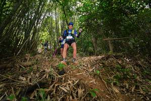 BIB: 
                            <button type="button" onclick="openModal(21776232)" class="btn btn-primary btn-sm float-right btn-popup" data-toggle="modal" data-target=".modal-high-quality">
                        <i class="fas fa-shopping-cart"></i> Add to Cart
                    </button>
                                            <button type="button" onclick="isThisMe(21776232, true)" class="btn btn-success btn-sm float-right btn-popup btn-isme hidden" data-toggle="tooltip" data-placement="bottom" title="นี่คือรูปของคุณใช่ไหม คลิกที่นี่เพื่อเอาเข้าอัลบั้ม">
                        <i class="fas fa-plus"></i> Add to album
                    </button>
                    <button type="button" onclick="isThisMe(21776232, false)" class="btn btn-warning btn-sm float-right btn-popup btn-isnotme hidden">
                        <i class="fas fa-ban"></i> Remove from album
                    </button>