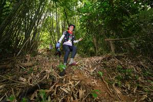 BIB: 
                            <button type="button" onclick="openModal(21777721)" class="btn btn-primary btn-sm float-right btn-popup" data-toggle="modal" data-target=".modal-high-quality">
                        <i class="fas fa-shopping-cart"></i> Add to Cart
                    </button>
                                            <button type="button" onclick="isThisMe(21777721, true)" class="btn btn-success btn-sm float-right btn-popup btn-isme hidden" data-toggle="tooltip" data-placement="bottom" title="นี่คือรูปของคุณใช่ไหม คลิกที่นี่เพื่อเอาเข้าอัลบั้ม">
                        <i class="fas fa-plus"></i> Add to album
                    </button>
                    <button type="button" onclick="isThisMe(21777721, false)" class="btn btn-warning btn-sm float-right btn-popup btn-isnotme hidden">
                        <i class="fas fa-ban"></i> Remove from album
                    </button>