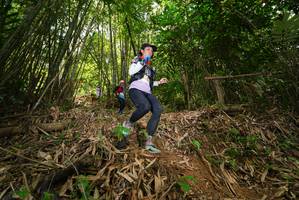 BIB: 
                            <button type="button" onclick="openModal(21777761)" class="btn btn-primary btn-sm float-right btn-popup" data-toggle="modal" data-target=".modal-high-quality">
                        <i class="fas fa-shopping-cart"></i> Add to Cart
                    </button>
                                            <button type="button" onclick="isThisMe(21777761, true)" class="btn btn-success btn-sm float-right btn-popup btn-isme hidden" data-toggle="tooltip" data-placement="bottom" title="นี่คือรูปของคุณใช่ไหม คลิกที่นี่เพื่อเอาเข้าอัลบั้ม">
                        <i class="fas fa-plus"></i> Add to album
                    </button>
                    <button type="button" onclick="isThisMe(21777761, false)" class="btn btn-warning btn-sm float-right btn-popup btn-isnotme hidden">
                        <i class="fas fa-ban"></i> Remove from album
                    </button>