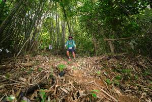 BIB: 
                            <button type="button" onclick="openModal(21752428)" class="btn btn-primary btn-sm float-right btn-popup" data-toggle="modal" data-target=".modal-high-quality">
                        <i class="fas fa-shopping-cart"></i> Add to Cart
                    </button>
                                            <button type="button" onclick="isThisMe(21752428, true)" class="btn btn-success btn-sm float-right btn-popup btn-isme hidden" data-toggle="tooltip" data-placement="bottom" title="นี่คือรูปของคุณใช่ไหม คลิกที่นี่เพื่อเอาเข้าอัลบั้ม">
                        <i class="fas fa-plus"></i> Add to album
                    </button>
                    <button type="button" onclick="isThisMe(21752428, false)" class="btn btn-warning btn-sm float-right btn-popup btn-isnotme hidden">
                        <i class="fas fa-ban"></i> Remove from album
                    </button>