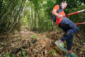 BIB: 
                            <button type="button" onclick="openModal(21786475)" class="btn btn-primary btn-sm float-right btn-popup" data-toggle="modal" data-target=".modal-high-quality">
                        <i class="fas fa-shopping-cart"></i> Add to Cart
                    </button>
                                            <button type="button" onclick="isThisMe(21786475, true)" class="btn btn-success btn-sm float-right btn-popup btn-isme hidden" data-toggle="tooltip" data-placement="bottom" title="นี่คือรูปของคุณใช่ไหม คลิกที่นี่เพื่อเอาเข้าอัลบั้ม">
                        <i class="fas fa-plus"></i> Add to album
                    </button>
                    <button type="button" onclick="isThisMe(21786475, false)" class="btn btn-warning btn-sm float-right btn-popup btn-isnotme hidden">
                        <i class="fas fa-ban"></i> Remove from album
                    </button>