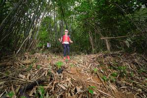 BIB: 
                            <button type="button" onclick="openModal(21752638)" class="btn btn-primary btn-sm float-right btn-popup" data-toggle="modal" data-target=".modal-high-quality">
                        <i class="fas fa-shopping-cart"></i> Add to Cart
                    </button>
                                            <button type="button" onclick="isThisMe(21752638, true)" class="btn btn-success btn-sm float-right btn-popup btn-isme hidden" data-toggle="tooltip" data-placement="bottom" title="นี่คือรูปของคุณใช่ไหม คลิกที่นี่เพื่อเอาเข้าอัลบั้ม">
                        <i class="fas fa-plus"></i> Add to album
                    </button>
                    <button type="button" onclick="isThisMe(21752638, false)" class="btn btn-warning btn-sm float-right btn-popup btn-isnotme hidden">
                        <i class="fas fa-ban"></i> Remove from album
                    </button>