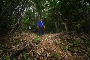 BIB: 
                            <button type="button" onclick="openModal(21751509)" class="btn btn-primary btn-sm float-right btn-popup" data-toggle="modal" data-target=".modal-high-quality">
                        <i class="fas fa-shopping-cart"></i> Add to Cart
                    </button>
                                            <button type="button" onclick="isThisMe(21751509, true)" class="btn btn-success btn-sm float-right btn-popup btn-isme hidden" data-toggle="tooltip" data-placement="bottom" title="นี่คือรูปของคุณใช่ไหม คลิกที่นี่เพื่อเอาเข้าอัลบั้ม">
                        <i class="fas fa-plus"></i> Add to album
                    </button>
                    <button type="button" onclick="isThisMe(21751509, false)" class="btn btn-warning btn-sm float-right btn-popup btn-isnotme hidden">
                        <i class="fas fa-ban"></i> Remove from album
                    </button>