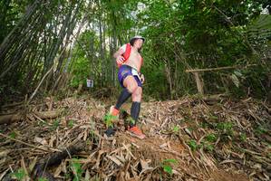 BIB: 
                            <button type="button" onclick="openModal(21753088)" class="btn btn-primary btn-sm float-right btn-popup" data-toggle="modal" data-target=".modal-high-quality">
                        <i class="fas fa-shopping-cart"></i> Add to Cart
                    </button>
                                            <button type="button" onclick="isThisMe(21753088, true)" class="btn btn-success btn-sm float-right btn-popup btn-isme hidden" data-toggle="tooltip" data-placement="bottom" title="นี่คือรูปของคุณใช่ไหม คลิกที่นี่เพื่อเอาเข้าอัลบั้ม">
                        <i class="fas fa-plus"></i> Add to album
                    </button>
                    <button type="button" onclick="isThisMe(21753088, false)" class="btn btn-warning btn-sm float-right btn-popup btn-isnotme hidden">
                        <i class="fas fa-ban"></i> Remove from album
                    </button>