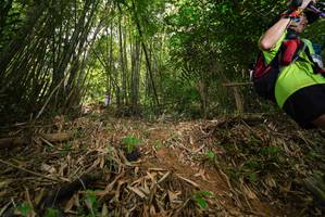 BIB: 
                            <button type="button" onclick="openModal(21773192)" class="btn btn-primary btn-sm float-right btn-popup" data-toggle="modal" data-target=".modal-high-quality">
                        <i class="fas fa-shopping-cart"></i> Add to Cart
                    </button>
                                            <button type="button" onclick="isThisMe(21773192, true)" class="btn btn-success btn-sm float-right btn-popup btn-isme hidden" data-toggle="tooltip" data-placement="bottom" title="นี่คือรูปของคุณใช่ไหม คลิกที่นี่เพื่อเอาเข้าอัลบั้ม">
                        <i class="fas fa-plus"></i> Add to album
                    </button>
                    <button type="button" onclick="isThisMe(21773192, false)" class="btn btn-warning btn-sm float-right btn-popup btn-isnotme hidden">
                        <i class="fas fa-ban"></i> Remove from album
                    </button>