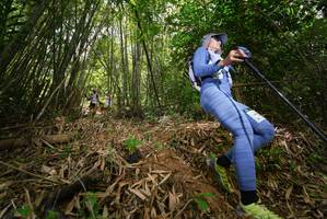 BIB: 
                            <button type="button" onclick="openModal(21776045)" class="btn btn-primary btn-sm float-right btn-popup" data-toggle="modal" data-target=".modal-high-quality">
                        <i class="fas fa-shopping-cart"></i> Add to Cart
                    </button>
                                            <button type="button" onclick="isThisMe(21776045, true)" class="btn btn-success btn-sm float-right btn-popup btn-isme hidden" data-toggle="tooltip" data-placement="bottom" title="นี่คือรูปของคุณใช่ไหม คลิกที่นี่เพื่อเอาเข้าอัลบั้ม">
                        <i class="fas fa-plus"></i> Add to album
                    </button>
                    <button type="button" onclick="isThisMe(21776045, false)" class="btn btn-warning btn-sm float-right btn-popup btn-isnotme hidden">
                        <i class="fas fa-ban"></i> Remove from album
                    </button>