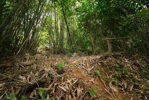 BIB: 
                            <button type="button" onclick="openModal(21777485)" class="btn btn-primary btn-sm float-right btn-popup" data-toggle="modal" data-target=".modal-high-quality">
                        <i class="fas fa-shopping-cart"></i> Add to Cart
                    </button>
                                            <button type="button" onclick="isThisMe(21777485, true)" class="btn btn-success btn-sm float-right btn-popup btn-isme hidden" data-toggle="tooltip" data-placement="bottom" title="นี่คือรูปของคุณใช่ไหม คลิกที่นี่เพื่อเอาเข้าอัลบั้ม">
                        <i class="fas fa-plus"></i> Add to album
                    </button>
                    <button type="button" onclick="isThisMe(21777485, false)" class="btn btn-warning btn-sm float-right btn-popup btn-isnotme hidden">
                        <i class="fas fa-ban"></i> Remove from album
                    </button>