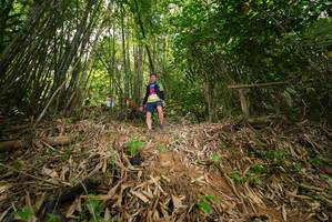 BIB: 
                            <button type="button" onclick="openModal(21763995)" class="btn btn-primary btn-sm float-right btn-popup" data-toggle="modal" data-target=".modal-high-quality">
                        <i class="fas fa-shopping-cart"></i> Add to Cart
                    </button>
                                            <button type="button" onclick="isThisMe(21763995, true)" class="btn btn-success btn-sm float-right btn-popup btn-isme hidden" data-toggle="tooltip" data-placement="bottom" title="นี่คือรูปของคุณใช่ไหม คลิกที่นี่เพื่อเอาเข้าอัลบั้ม">
                        <i class="fas fa-plus"></i> Add to album
                    </button>
                    <button type="button" onclick="isThisMe(21763995, false)" class="btn btn-warning btn-sm float-right btn-popup btn-isnotme hidden">
                        <i class="fas fa-ban"></i> Remove from album
                    </button>