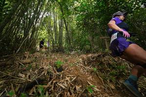 BIB: 
                            <button type="button" onclick="openModal(21773879)" class="btn btn-primary btn-sm float-right btn-popup" data-toggle="modal" data-target=".modal-high-quality">
                        <i class="fas fa-shopping-cart"></i> Add to Cart
                    </button>
                                            <button type="button" onclick="isThisMe(21773879, true)" class="btn btn-success btn-sm float-right btn-popup btn-isme hidden" data-toggle="tooltip" data-placement="bottom" title="นี่คือรูปของคุณใช่ไหม คลิกที่นี่เพื่อเอาเข้าอัลบั้ม">
                        <i class="fas fa-plus"></i> Add to album
                    </button>
                    <button type="button" onclick="isThisMe(21773879, false)" class="btn btn-warning btn-sm float-right btn-popup btn-isnotme hidden">
                        <i class="fas fa-ban"></i> Remove from album
                    </button>