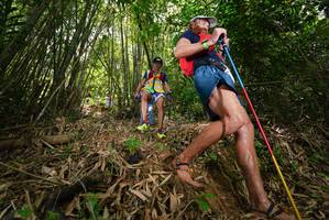 BIB: 
                            <button type="button" onclick="openModal(21775676)" class="btn btn-primary btn-sm float-right btn-popup" data-toggle="modal" data-target=".modal-high-quality">
                        <i class="fas fa-shopping-cart"></i> Add to Cart
                    </button>
                                            <button type="button" onclick="isThisMe(21775676, true)" class="btn btn-success btn-sm float-right btn-popup btn-isme hidden" data-toggle="tooltip" data-placement="bottom" title="นี่คือรูปของคุณใช่ไหม คลิกที่นี่เพื่อเอาเข้าอัลบั้ม">
                        <i class="fas fa-plus"></i> Add to album
                    </button>
                    <button type="button" onclick="isThisMe(21775676, false)" class="btn btn-warning btn-sm float-right btn-popup btn-isnotme hidden">
                        <i class="fas fa-ban"></i> Remove from album
                    </button>