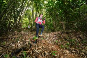 BIB: 
                            <button type="button" onclick="openModal(21754456)" class="btn btn-primary btn-sm float-right btn-popup" data-toggle="modal" data-target=".modal-high-quality">
                        <i class="fas fa-shopping-cart"></i> Add to Cart
                    </button>
                                            <button type="button" onclick="isThisMe(21754456, true)" class="btn btn-success btn-sm float-right btn-popup btn-isme hidden" data-toggle="tooltip" data-placement="bottom" title="นี่คือรูปของคุณใช่ไหม คลิกที่นี่เพื่อเอาเข้าอัลบั้ม">
                        <i class="fas fa-plus"></i> Add to album
                    </button>
                    <button type="button" onclick="isThisMe(21754456, false)" class="btn btn-warning btn-sm float-right btn-popup btn-isnotme hidden">
                        <i class="fas fa-ban"></i> Remove from album
                    </button>