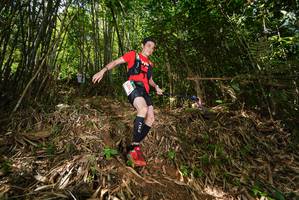 BIB: 5435
                            <button type="button" onclick="openModal(21745576)" class="btn btn-primary btn-sm float-right btn-popup" data-toggle="modal" data-target=".modal-high-quality">
                        <i class="fas fa-shopping-cart"></i> Add to Cart
                    </button>
                                            <button type="button" onclick="isThisMe(21745576, true)" class="btn btn-success btn-sm float-right btn-popup btn-isme hidden" data-toggle="tooltip" data-placement="bottom" title="นี่คือรูปของคุณใช่ไหม คลิกที่นี่เพื่อเอาเข้าอัลบั้ม">
                        <i class="fas fa-plus"></i> Add to album
                    </button>
                    <button type="button" onclick="isThisMe(21745576, false)" class="btn btn-warning btn-sm float-right btn-popup btn-isnotme hidden">
                        <i class="fas fa-ban"></i> Remove from album
                    </button>