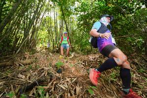 BIB: 
                            <button type="button" onclick="openModal(21780551)" class="btn btn-primary btn-sm float-right btn-popup" data-toggle="modal" data-target=".modal-high-quality">
                        <i class="fas fa-shopping-cart"></i> Add to Cart
                    </button>
                                            <button type="button" onclick="isThisMe(21780551, true)" class="btn btn-success btn-sm float-right btn-popup btn-isme hidden" data-toggle="tooltip" data-placement="bottom" title="นี่คือรูปของคุณใช่ไหม คลิกที่นี่เพื่อเอาเข้าอัลบั้ม">
                        <i class="fas fa-plus"></i> Add to album
                    </button>
                    <button type="button" onclick="isThisMe(21780551, false)" class="btn btn-warning btn-sm float-right btn-popup btn-isnotme hidden">
                        <i class="fas fa-ban"></i> Remove from album
                    </button>