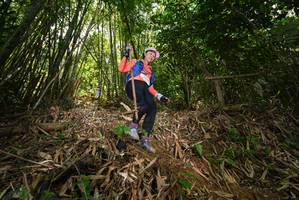 BIB: 
                            <button type="button" onclick="openModal(21785944)" class="btn btn-primary btn-sm float-right btn-popup" data-toggle="modal" data-target=".modal-high-quality">
                        <i class="fas fa-shopping-cart"></i> Add to Cart
                    </button>
                                            <button type="button" onclick="isThisMe(21785944, true)" class="btn btn-success btn-sm float-right btn-popup btn-isme hidden" data-toggle="tooltip" data-placement="bottom" title="นี่คือรูปของคุณใช่ไหม คลิกที่นี่เพื่อเอาเข้าอัลบั้ม">
                        <i class="fas fa-plus"></i> Add to album
                    </button>
                    <button type="button" onclick="isThisMe(21785944, false)" class="btn btn-warning btn-sm float-right btn-popup btn-isnotme hidden">
                        <i class="fas fa-ban"></i> Remove from album
                    </button>