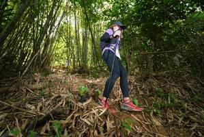 BIB: 
                            <button type="button" onclick="openModal(21785272)" class="btn btn-primary btn-sm float-right btn-popup" data-toggle="modal" data-target=".modal-high-quality">
                        <i class="fas fa-shopping-cart"></i> Add to Cart
                    </button>
                                            <button type="button" onclick="isThisMe(21785272, true)" class="btn btn-success btn-sm float-right btn-popup btn-isme hidden" data-toggle="tooltip" data-placement="bottom" title="นี่คือรูปของคุณใช่ไหม คลิกที่นี่เพื่อเอาเข้าอัลบั้ม">
                        <i class="fas fa-plus"></i> Add to album
                    </button>
                    <button type="button" onclick="isThisMe(21785272, false)" class="btn btn-warning btn-sm float-right btn-popup btn-isnotme hidden">
                        <i class="fas fa-ban"></i> Remove from album
                    </button>