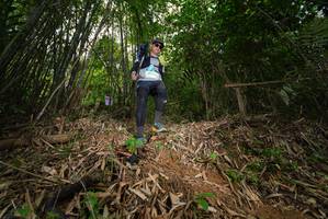 BIB: 
                            <button type="button" onclick="openModal(21753863)" class="btn btn-primary btn-sm float-right btn-popup" data-toggle="modal" data-target=".modal-high-quality">
                        <i class="fas fa-shopping-cart"></i> Add to Cart
                    </button>
                                            <button type="button" onclick="isThisMe(21753863, true)" class="btn btn-success btn-sm float-right btn-popup btn-isme hidden" data-toggle="tooltip" data-placement="bottom" title="นี่คือรูปของคุณใช่ไหม คลิกที่นี่เพื่อเอาเข้าอัลบั้ม">
                        <i class="fas fa-plus"></i> Add to album
                    </button>
                    <button type="button" onclick="isThisMe(21753863, false)" class="btn btn-warning btn-sm float-right btn-popup btn-isnotme hidden">
                        <i class="fas fa-ban"></i> Remove from album
                    </button>