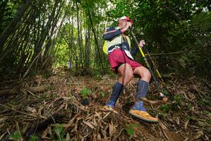 BIB: 
                            <button type="button" onclick="openModal(21779297)" class="btn btn-primary btn-sm float-right btn-popup" data-toggle="modal" data-target=".modal-high-quality">
                        <i class="fas fa-shopping-cart"></i> Add to Cart
                    </button>
                                            <button type="button" onclick="isThisMe(21779297, true)" class="btn btn-success btn-sm float-right btn-popup btn-isme hidden" data-toggle="tooltip" data-placement="bottom" title="นี่คือรูปของคุณใช่ไหม คลิกที่นี่เพื่อเอาเข้าอัลบั้ม">
                        <i class="fas fa-plus"></i> Add to album
                    </button>
                    <button type="button" onclick="isThisMe(21779297, false)" class="btn btn-warning btn-sm float-right btn-popup btn-isnotme hidden">
                        <i class="fas fa-ban"></i> Remove from album
                    </button>