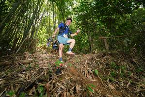 BIB: 
                            <button type="button" onclick="openModal(21787439)" class="btn btn-primary btn-sm float-right btn-popup" data-toggle="modal" data-target=".modal-high-quality">
                        <i class="fas fa-shopping-cart"></i> Add to Cart
                    </button>
                                            <button type="button" onclick="isThisMe(21787439, true)" class="btn btn-success btn-sm float-right btn-popup btn-isme hidden" data-toggle="tooltip" data-placement="bottom" title="นี่คือรูปของคุณใช่ไหม คลิกที่นี่เพื่อเอาเข้าอัลบั้ม">
                        <i class="fas fa-plus"></i> Add to album
                    </button>
                    <button type="button" onclick="isThisMe(21787439, false)" class="btn btn-warning btn-sm float-right btn-popup btn-isnotme hidden">
                        <i class="fas fa-ban"></i> Remove from album
                    </button>