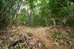 BIB: 
                            <button type="button" onclick="openModal(21783592)" class="btn btn-primary btn-sm float-right btn-popup" data-toggle="modal" data-target=".modal-high-quality">
                        <i class="fas fa-shopping-cart"></i> Add to Cart
                    </button>
                                            <button type="button" onclick="isThisMe(21783592, true)" class="btn btn-success btn-sm float-right btn-popup btn-isme hidden" data-toggle="tooltip" data-placement="bottom" title="นี่คือรูปของคุณใช่ไหม คลิกที่นี่เพื่อเอาเข้าอัลบั้ม">
                        <i class="fas fa-plus"></i> Add to album
                    </button>
                    <button type="button" onclick="isThisMe(21783592, false)" class="btn btn-warning btn-sm float-right btn-popup btn-isnotme hidden">
                        <i class="fas fa-ban"></i> Remove from album
                    </button>