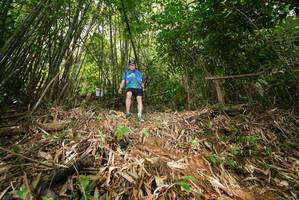 BIB: 
                            <button type="button" onclick="openModal(21751392)" class="btn btn-primary btn-sm float-right btn-popup" data-toggle="modal" data-target=".modal-high-quality">
                        <i class="fas fa-shopping-cart"></i> Add to Cart
                    </button>
                                            <button type="button" onclick="isThisMe(21751392, true)" class="btn btn-success btn-sm float-right btn-popup btn-isme hidden" data-toggle="tooltip" data-placement="bottom" title="นี่คือรูปของคุณใช่ไหม คลิกที่นี่เพื่อเอาเข้าอัลบั้ม">
                        <i class="fas fa-plus"></i> Add to album
                    </button>
                    <button type="button" onclick="isThisMe(21751392, false)" class="btn btn-warning btn-sm float-right btn-popup btn-isnotme hidden">
                        <i class="fas fa-ban"></i> Remove from album
                    </button>