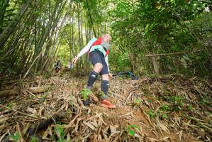 BIB: 
                            <button type="button" onclick="openModal(21755363)" class="btn btn-primary btn-sm float-right btn-popup" data-toggle="modal" data-target=".modal-high-quality">
                        <i class="fas fa-shopping-cart"></i> Add to Cart
                    </button>
                                            <button type="button" onclick="isThisMe(21755363, true)" class="btn btn-success btn-sm float-right btn-popup btn-isme hidden" data-toggle="tooltip" data-placement="bottom" title="นี่คือรูปของคุณใช่ไหม คลิกที่นี่เพื่อเอาเข้าอัลบั้ม">
                        <i class="fas fa-plus"></i> Add to album
                    </button>
                    <button type="button" onclick="isThisMe(21755363, false)" class="btn btn-warning btn-sm float-right btn-popup btn-isnotme hidden">
                        <i class="fas fa-ban"></i> Remove from album
                    </button>