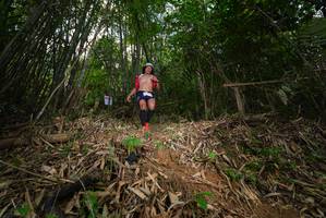 BIB: 
                            <button type="button" onclick="openModal(21753063)" class="btn btn-primary btn-sm float-right btn-popup" data-toggle="modal" data-target=".modal-high-quality">
                        <i class="fas fa-shopping-cart"></i> Add to Cart
                    </button>
                                            <button type="button" onclick="isThisMe(21753063, true)" class="btn btn-success btn-sm float-right btn-popup btn-isme hidden" data-toggle="tooltip" data-placement="bottom" title="นี่คือรูปของคุณใช่ไหม คลิกที่นี่เพื่อเอาเข้าอัลบั้ม">
                        <i class="fas fa-plus"></i> Add to album
                    </button>
                    <button type="button" onclick="isThisMe(21753063, false)" class="btn btn-warning btn-sm float-right btn-popup btn-isnotme hidden">
                        <i class="fas fa-ban"></i> Remove from album
                    </button>