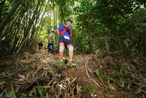 BIB: 
                            <button type="button" onclick="openModal(21785962)" class="btn btn-primary btn-sm float-right btn-popup" data-toggle="modal" data-target=".modal-high-quality">
                        <i class="fas fa-shopping-cart"></i> Add to Cart
                    </button>
                                            <button type="button" onclick="isThisMe(21785962, true)" class="btn btn-success btn-sm float-right btn-popup btn-isme hidden" data-toggle="tooltip" data-placement="bottom" title="นี่คือรูปของคุณใช่ไหม คลิกที่นี่เพื่อเอาเข้าอัลบั้ม">
                        <i class="fas fa-plus"></i> Add to album
                    </button>
                    <button type="button" onclick="isThisMe(21785962, false)" class="btn btn-warning btn-sm float-right btn-popup btn-isnotme hidden">
                        <i class="fas fa-ban"></i> Remove from album
                    </button>