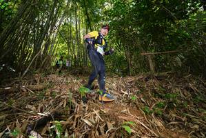 BIB: 
                            <button type="button" onclick="openModal(21752310)" class="btn btn-primary btn-sm float-right btn-popup" data-toggle="modal" data-target=".modal-high-quality">
                        <i class="fas fa-shopping-cart"></i> Add to Cart
                    </button>
                                            <button type="button" onclick="isThisMe(21752310, true)" class="btn btn-success btn-sm float-right btn-popup btn-isme hidden" data-toggle="tooltip" data-placement="bottom" title="นี่คือรูปของคุณใช่ไหม คลิกที่นี่เพื่อเอาเข้าอัลบั้ม">
                        <i class="fas fa-plus"></i> Add to album
                    </button>
                    <button type="button" onclick="isThisMe(21752310, false)" class="btn btn-warning btn-sm float-right btn-popup btn-isnotme hidden">
                        <i class="fas fa-ban"></i> Remove from album
                    </button>