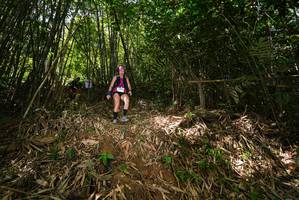 BIB: 
                            <button type="button" onclick="openModal(21748237)" class="btn btn-primary btn-sm float-right btn-popup" data-toggle="modal" data-target=".modal-high-quality">
                        <i class="fas fa-shopping-cart"></i> Add to Cart
                    </button>
                                            <button type="button" onclick="isThisMe(21748237, true)" class="btn btn-success btn-sm float-right btn-popup btn-isme hidden" data-toggle="tooltip" data-placement="bottom" title="นี่คือรูปของคุณใช่ไหม คลิกที่นี่เพื่อเอาเข้าอัลบั้ม">
                        <i class="fas fa-plus"></i> Add to album
                    </button>
                    <button type="button" onclick="isThisMe(21748237, false)" class="btn btn-warning btn-sm float-right btn-popup btn-isnotme hidden">
                        <i class="fas fa-ban"></i> Remove from album
                    </button>