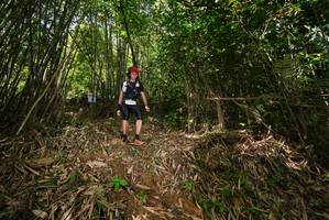 BIB: 
                            <button type="button" onclick="openModal(21745851)" class="btn btn-primary btn-sm float-right btn-popup" data-toggle="modal" data-target=".modal-high-quality">
                        <i class="fas fa-shopping-cart"></i> Add to Cart
                    </button>
                                            <button type="button" onclick="isThisMe(21745851, true)" class="btn btn-success btn-sm float-right btn-popup btn-isme hidden" data-toggle="tooltip" data-placement="bottom" title="นี่คือรูปของคุณใช่ไหม คลิกที่นี่เพื่อเอาเข้าอัลบั้ม">
                        <i class="fas fa-plus"></i> Add to album
                    </button>
                    <button type="button" onclick="isThisMe(21745851, false)" class="btn btn-warning btn-sm float-right btn-popup btn-isnotme hidden">
                        <i class="fas fa-ban"></i> Remove from album
                    </button>