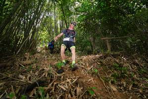 BIB: 
                            <button type="button" onclick="openModal(21777066)" class="btn btn-primary btn-sm float-right btn-popup" data-toggle="modal" data-target=".modal-high-quality">
                        <i class="fas fa-shopping-cart"></i> Add to Cart
                    </button>
                                            <button type="button" onclick="isThisMe(21777066, true)" class="btn btn-success btn-sm float-right btn-popup btn-isme hidden" data-toggle="tooltip" data-placement="bottom" title="นี่คือรูปของคุณใช่ไหม คลิกที่นี่เพื่อเอาเข้าอัลบั้ม">
                        <i class="fas fa-plus"></i> Add to album
                    </button>
                    <button type="button" onclick="isThisMe(21777066, false)" class="btn btn-warning btn-sm float-right btn-popup btn-isnotme hidden">
                        <i class="fas fa-ban"></i> Remove from album
                    </button>