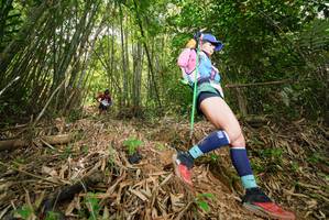 BIB: 
                            <button type="button" onclick="openModal(21770389)" class="btn btn-primary btn-sm float-right btn-popup" data-toggle="modal" data-target=".modal-high-quality">
                        <i class="fas fa-shopping-cart"></i> Add to Cart
                    </button>
                                            <button type="button" onclick="isThisMe(21770389, true)" class="btn btn-success btn-sm float-right btn-popup btn-isme hidden" data-toggle="tooltip" data-placement="bottom" title="นี่คือรูปของคุณใช่ไหม คลิกที่นี่เพื่อเอาเข้าอัลบั้ม">
                        <i class="fas fa-plus"></i> Add to album
                    </button>
                    <button type="button" onclick="isThisMe(21770389, false)" class="btn btn-warning btn-sm float-right btn-popup btn-isnotme hidden">
                        <i class="fas fa-ban"></i> Remove from album
                    </button>