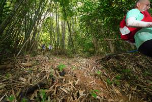 BIB: 
                            <button type="button" onclick="openModal(21755392)" class="btn btn-primary btn-sm float-right btn-popup" data-toggle="modal" data-target=".modal-high-quality">
                        <i class="fas fa-shopping-cart"></i> Add to Cart
                    </button>
                                            <button type="button" onclick="isThisMe(21755392, true)" class="btn btn-success btn-sm float-right btn-popup btn-isme hidden" data-toggle="tooltip" data-placement="bottom" title="นี่คือรูปของคุณใช่ไหม คลิกที่นี่เพื่อเอาเข้าอัลบั้ม">
                        <i class="fas fa-plus"></i> Add to album
                    </button>
                    <button type="button" onclick="isThisMe(21755392, false)" class="btn btn-warning btn-sm float-right btn-popup btn-isnotme hidden">
                        <i class="fas fa-ban"></i> Remove from album
                    </button>