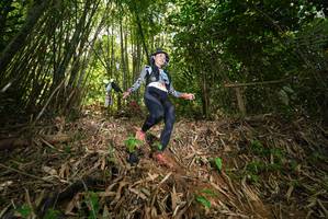 BIB: 
                            <button type="button" onclick="openModal(21785566)" class="btn btn-primary btn-sm float-right btn-popup" data-toggle="modal" data-target=".modal-high-quality">
                        <i class="fas fa-shopping-cart"></i> Add to Cart
                    </button>
                                            <button type="button" onclick="isThisMe(21785566, true)" class="btn btn-success btn-sm float-right btn-popup btn-isme hidden" data-toggle="tooltip" data-placement="bottom" title="นี่คือรูปของคุณใช่ไหม คลิกที่นี่เพื่อเอาเข้าอัลบั้ม">
                        <i class="fas fa-plus"></i> Add to album
                    </button>
                    <button type="button" onclick="isThisMe(21785566, false)" class="btn btn-warning btn-sm float-right btn-popup btn-isnotme hidden">
                        <i class="fas fa-ban"></i> Remove from album
                    </button>