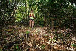 BIB: 
                            <button type="button" onclick="openModal(21749870)" class="btn btn-primary btn-sm float-right btn-popup" data-toggle="modal" data-target=".modal-high-quality">
                        <i class="fas fa-shopping-cart"></i> Add to Cart
                    </button>
                                            <button type="button" onclick="isThisMe(21749870, true)" class="btn btn-success btn-sm float-right btn-popup btn-isme hidden" data-toggle="tooltip" data-placement="bottom" title="นี่คือรูปของคุณใช่ไหม คลิกที่นี่เพื่อเอาเข้าอัลบั้ม">
                        <i class="fas fa-plus"></i> Add to album
                    </button>
                    <button type="button" onclick="isThisMe(21749870, false)" class="btn btn-warning btn-sm float-right btn-popup btn-isnotme hidden">
                        <i class="fas fa-ban"></i> Remove from album
                    </button>