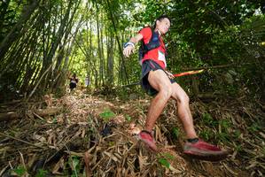 BIB: 
                            <button type="button" onclick="openModal(21786306)" class="btn btn-primary btn-sm float-right btn-popup" data-toggle="modal" data-target=".modal-high-quality">
                        <i class="fas fa-shopping-cart"></i> Add to Cart
                    </button>
                                            <button type="button" onclick="isThisMe(21786306, true)" class="btn btn-success btn-sm float-right btn-popup btn-isme hidden" data-toggle="tooltip" data-placement="bottom" title="นี่คือรูปของคุณใช่ไหม คลิกที่นี่เพื่อเอาเข้าอัลบั้ม">
                        <i class="fas fa-plus"></i> Add to album
                    </button>
                    <button type="button" onclick="isThisMe(21786306, false)" class="btn btn-warning btn-sm float-right btn-popup btn-isnotme hidden">
                        <i class="fas fa-ban"></i> Remove from album
                    </button>