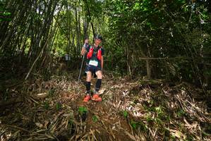 BIB: 
                            <button type="button" onclick="openModal(21749220)" class="btn btn-primary btn-sm float-right btn-popup" data-toggle="modal" data-target=".modal-high-quality">
                        <i class="fas fa-shopping-cart"></i> Add to Cart
                    </button>
                                            <button type="button" onclick="isThisMe(21749220, true)" class="btn btn-success btn-sm float-right btn-popup btn-isme hidden" data-toggle="tooltip" data-placement="bottom" title="นี่คือรูปของคุณใช่ไหม คลิกที่นี่เพื่อเอาเข้าอัลบั้ม">
                        <i class="fas fa-plus"></i> Add to album
                    </button>
                    <button type="button" onclick="isThisMe(21749220, false)" class="btn btn-warning btn-sm float-right btn-popup btn-isnotme hidden">
                        <i class="fas fa-ban"></i> Remove from album
                    </button>