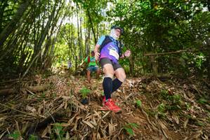 BIB: 
                            <button type="button" onclick="openModal(21780537)" class="btn btn-primary btn-sm float-right btn-popup" data-toggle="modal" data-target=".modal-high-quality">
                        <i class="fas fa-shopping-cart"></i> Add to Cart
                    </button>
                                            <button type="button" onclick="isThisMe(21780537, true)" class="btn btn-success btn-sm float-right btn-popup btn-isme hidden" data-toggle="tooltip" data-placement="bottom" title="นี่คือรูปของคุณใช่ไหม คลิกที่นี่เพื่อเอาเข้าอัลบั้ม">
                        <i class="fas fa-plus"></i> Add to album
                    </button>
                    <button type="button" onclick="isThisMe(21780537, false)" class="btn btn-warning btn-sm float-right btn-popup btn-isnotme hidden">
                        <i class="fas fa-ban"></i> Remove from album
                    </button>